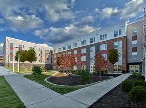 Renaissance Row Photo