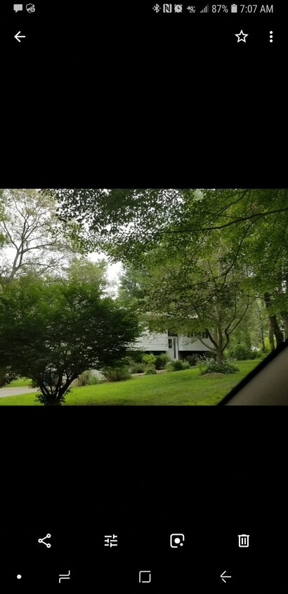 Foto principal - 67 Vinegar Hill Rd