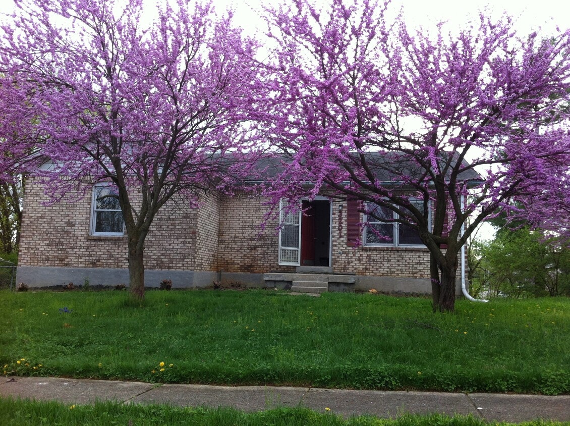 Foto principal - 3201 Catskill Ct