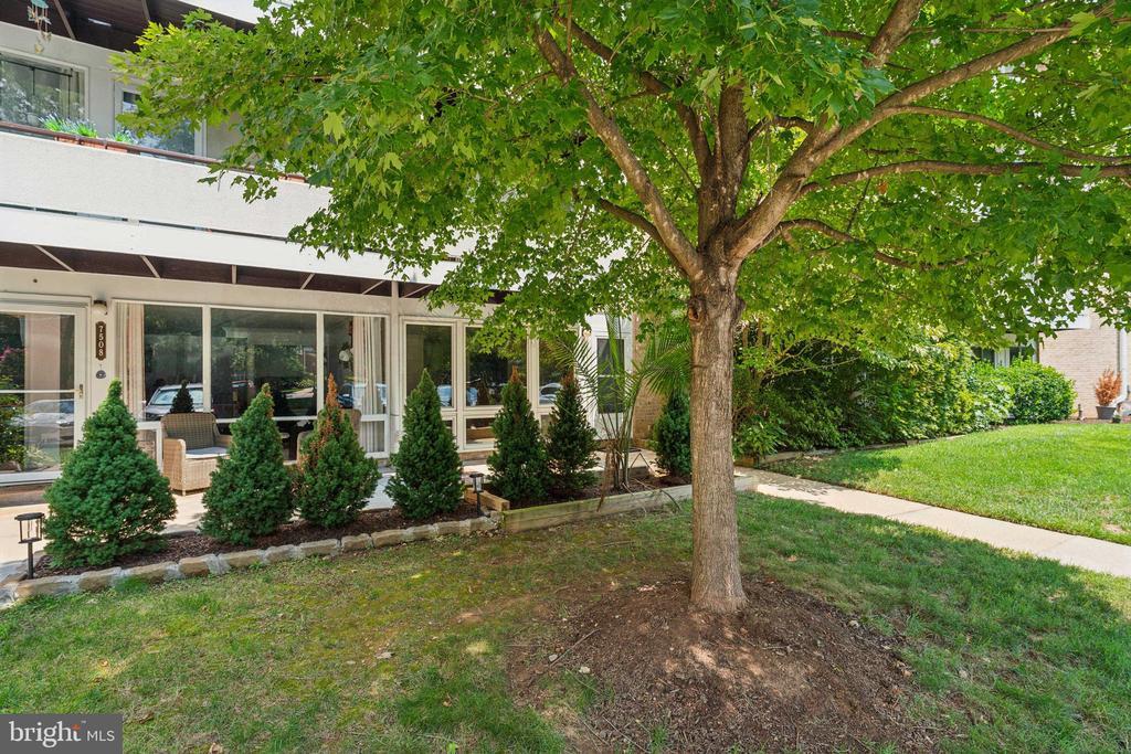 Primary Photo - 7506 Spring Lake Dr