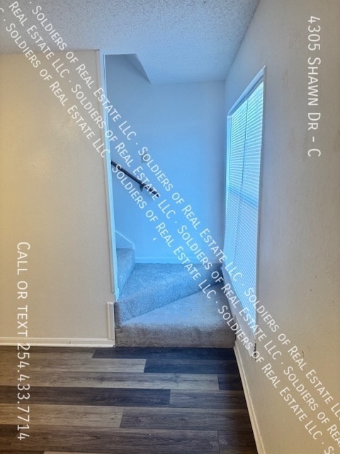 Building Photo - 4305 Shawn Dr