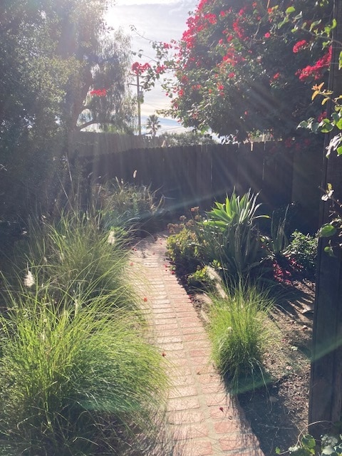 Garden pathway - 170 Thompson Ave