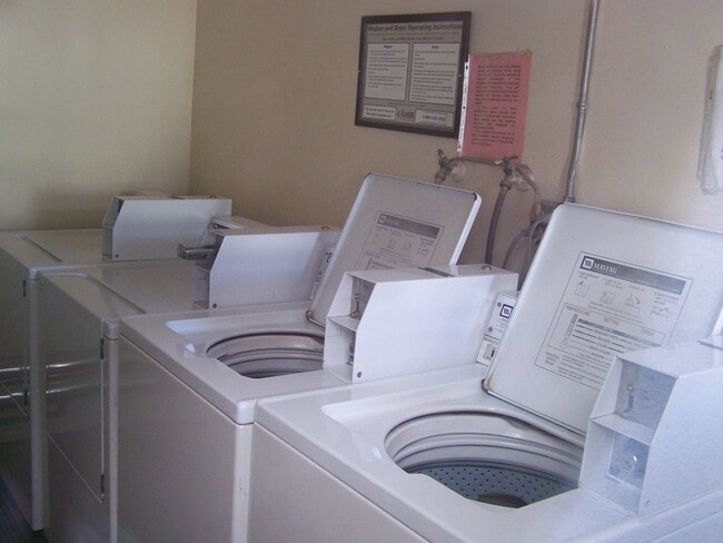 Common Laundry - 1001 Arcadia Ave