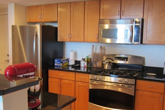 all stainless steel appliances - 414 Water St
