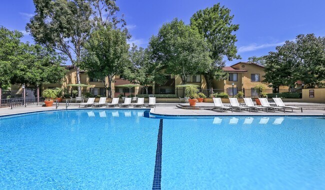 Relájate en la terraza junto a nuestra piscina al aire libre - Indian Oaks