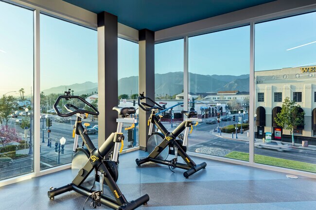 Gimnasio - The Orchard