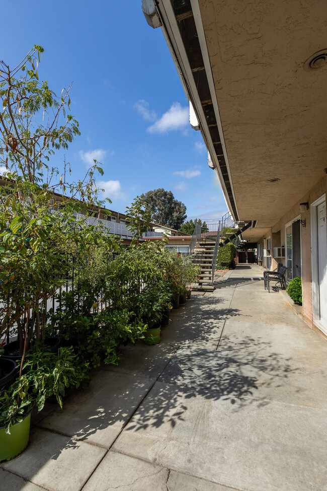 Building Photo - Hamilton Plaza Apartments