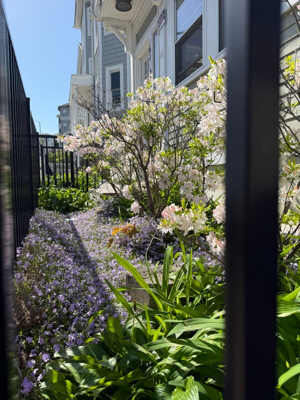 Foto del edificio - 61 Harrison St