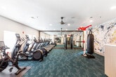 This single-floor fitness center is thoughtfully designed to accommodate a wide range of workout styles, offering distinct zones that flow seamlessly into one another. The main cardio area is lined with treadmills, ellipticals, and a stationary bike, positioned alongside windows that allow natural light to fill the space. Teal-toned carpet tiles run throughout the primary workout areas, complementing the vibrant, abstract wall murals rendered in shades of white, navy, gold, and gray — a striking design element that energizes the environment.

A dedicated functional training zone features an Octagon multi-station rig complete with a heavy punching bag, TRX suspension straps, and battle ropes, set against the bold mural backdrop. Built-in storage cubbies and color-block accent walls in teal and yellow add both practicality and visual interest to this area.

A separate strength and weight training room transitions to light wood plank flooring, offering a refined contrast to the main space. This room includes a large flat-screen display, weight benches, cable machines, and free weights organized on wall-mounted racks. Large mirrors expand the sense of space throughout. Ceiling fans and recessed lighting ensure comfort across all zones, creating a well-lit, professionally outfitted facility suited for diverse fitness needs.