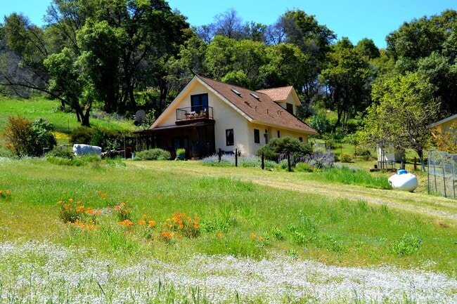 Building Photo - Country home with acreage and detached two...