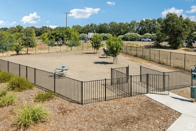 Dog Park - Tonea Senior Housing