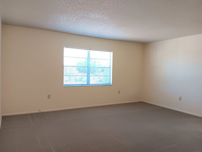 Foto del edificio - Sunny suite is SWEET in north St Pete - 2/...