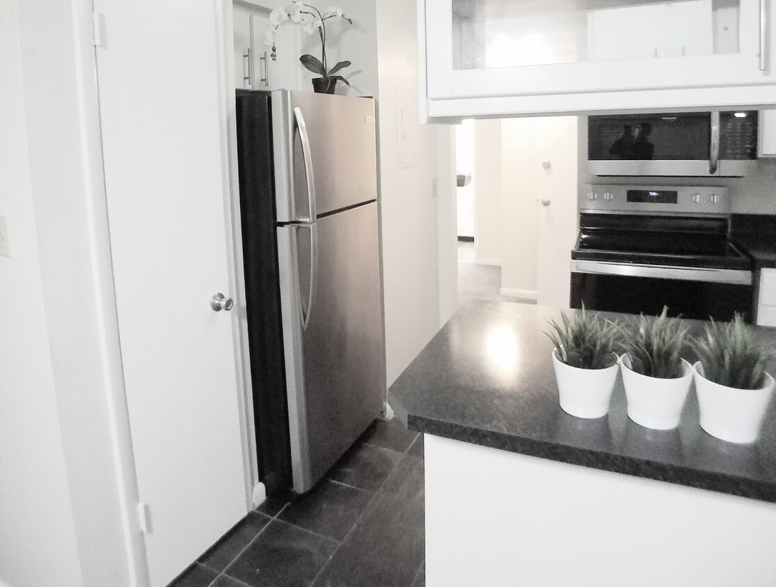 Beutiful 1/1 Condo x Rent in Winter Park ... - Beutiful 1/1  Condo x Rent in Winter Park ...