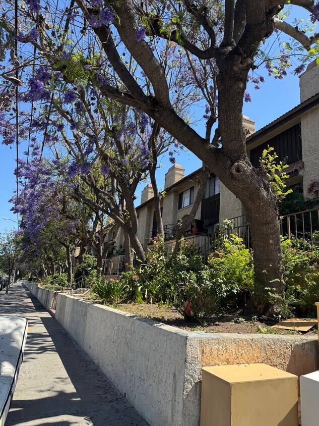 Foto principal - 8750 Kester Ave