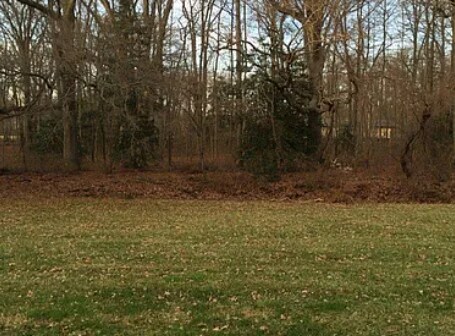 Foto del edificio - 3 Atram hall