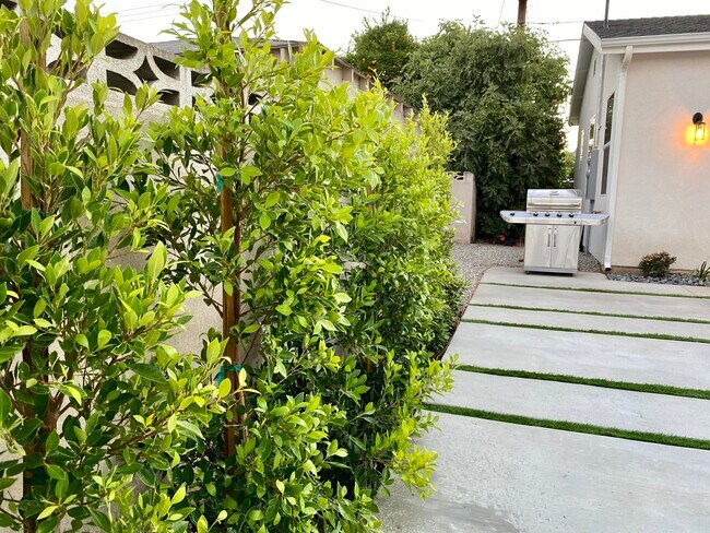 BBQ - 5329 Willis Ave