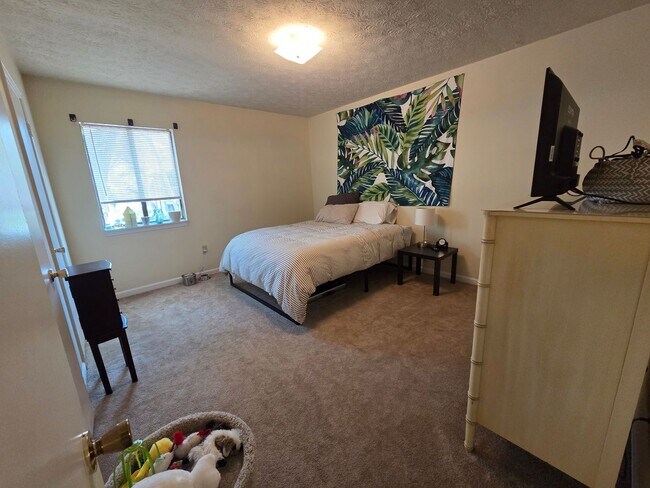 Foto del edificio - Campus View 1 Bedroom Apt. -Walking Distance to UGA!