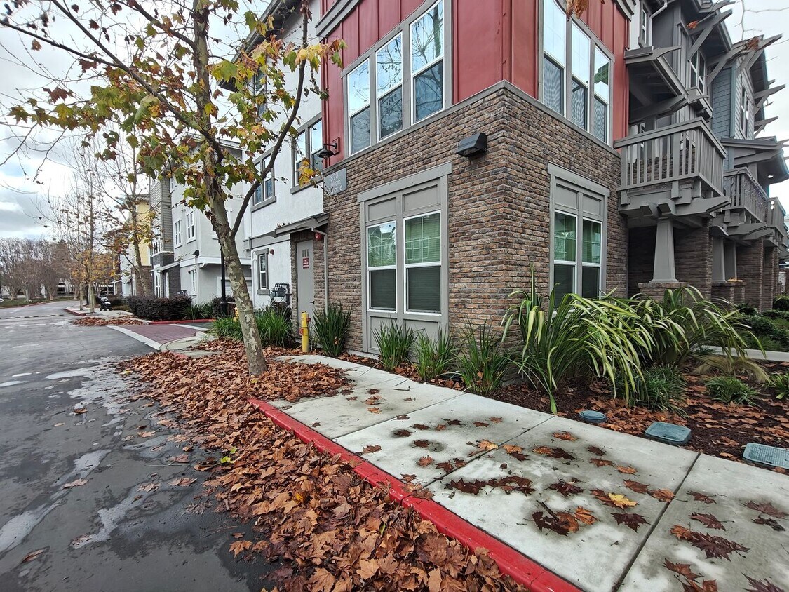 Foto del edificio - Coming Soon ? Bright, Modern Living in Sunnyvale