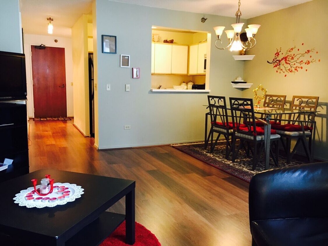 480 McClurg N Ct, Chicago, IL 60611 Condo for Rent in Chicago, IL