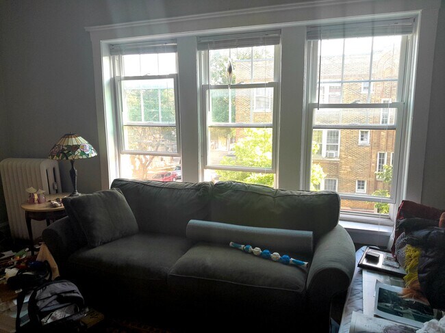 main room windows - 2306 W Wilson Ave