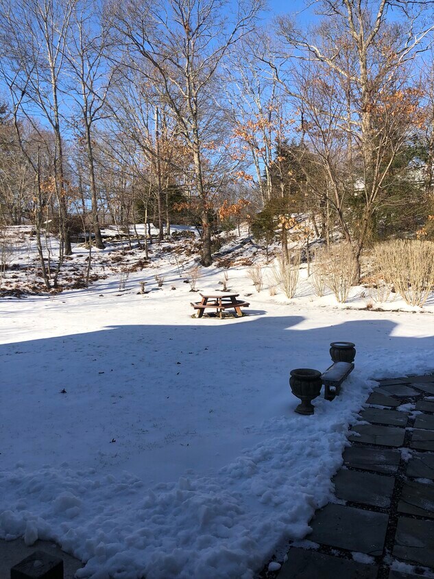 Rear Backyard - 611 Ten Rod Rd