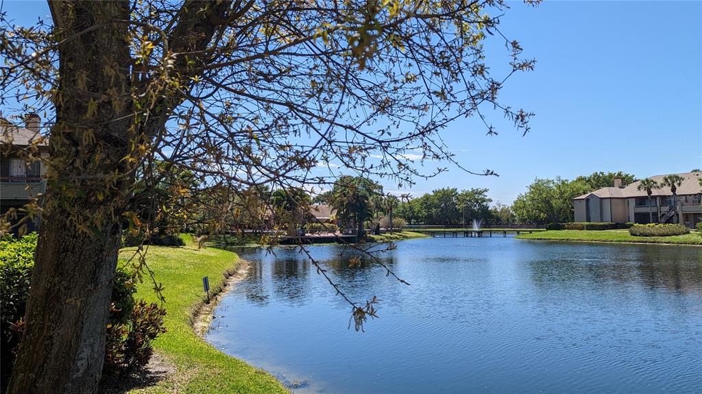 Foto principal - 10263 Gandy Blvd N