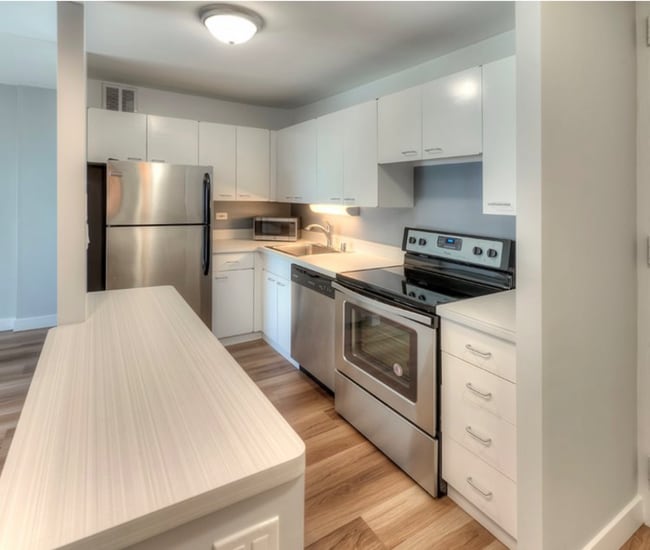 Photo - 1171 S Michigan Ave Apartment