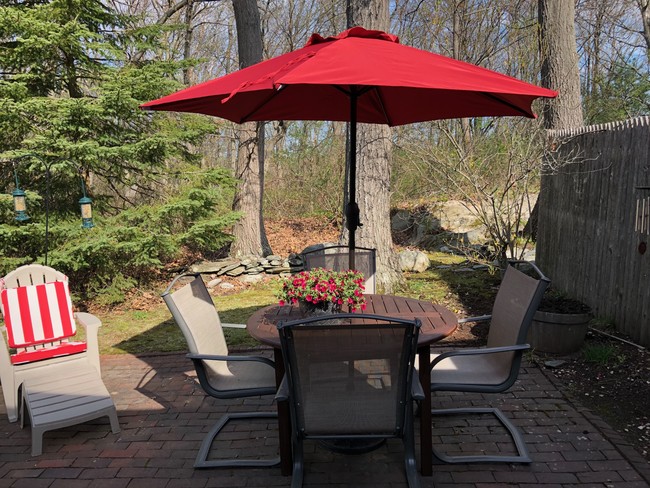 Patio Facing woods - 21 Arrowwood Ct