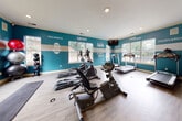 This single-level fitness center is designed to provide a comprehensive workout environment within a spacious, open layout. The interior is defined by bold teal accent walls adorned with motivational phrases such as "Be Stronger," "Don't Quit," and "Rise and Grind," creating an energizing atmosphere throughout the space. A neutral horizontal stripe runs along the mid-section of the walls, complementing the light wood-look flooring that extends across the entire room.

Natural light fills the space through multiple large windows along the perimeter walls, offering views of surrounding greenery. Recessed ceiling lighting supplements the natural light, ensuring consistent illumination. Crown molding along the ceiling adds a refined architectural touch.

The fitness center is well-equipped with multiple treadmills, elliptical trainers, a recumbent bike, and a cable resistance machine for strength training. A dedicated free weights area includes a full dumbbell rack and an assortment of medicine and stability balls. A floor mat area provides space for stretching and floor exercises. Wall-to-wall mirrors along one side visually expand the space and support form-focused training. Mounted flat-screen televisions are positioned throughout for added convenience during workouts.