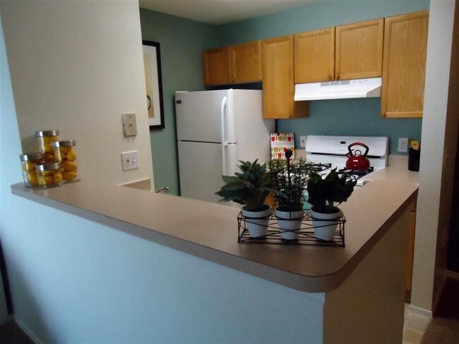 Seven Palms Apartments Apartments Punta Gorda, FL