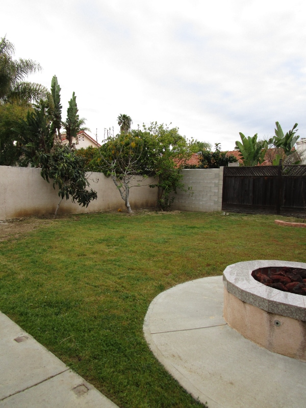 Building Photo - 3430 Crystal Wood Dr