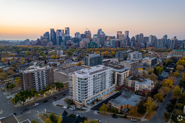 Aerial View - Riley Park Tower