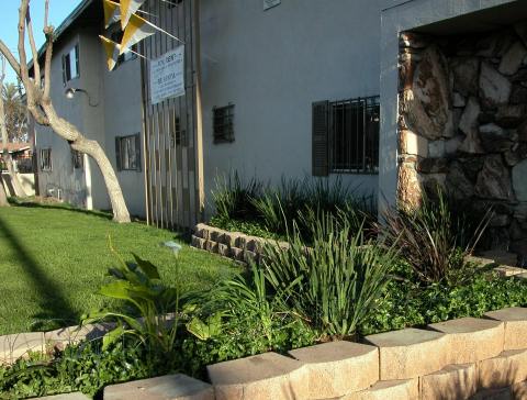 Front Landscaping - Pine Terrace Apartments