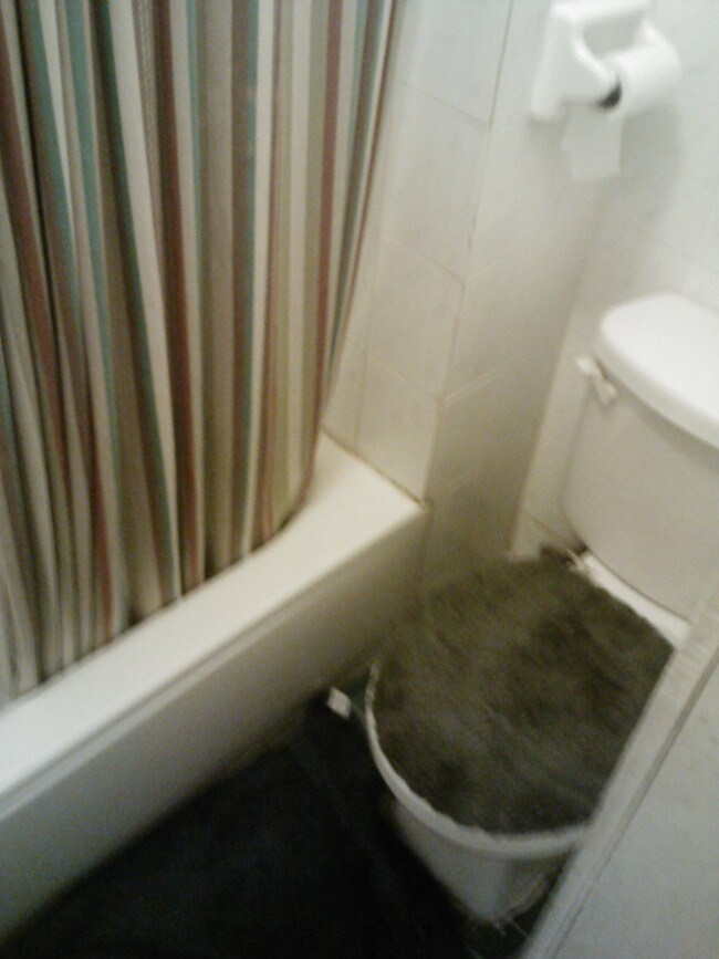 Foto del edificio - 205 Sumpter St