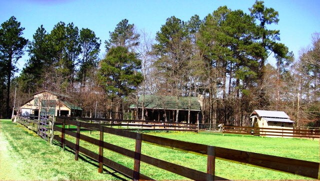 Building Photo - 1832 Green Pond Rd