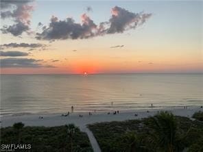 Building Photo - 3420 Gulf Shore Blvd N