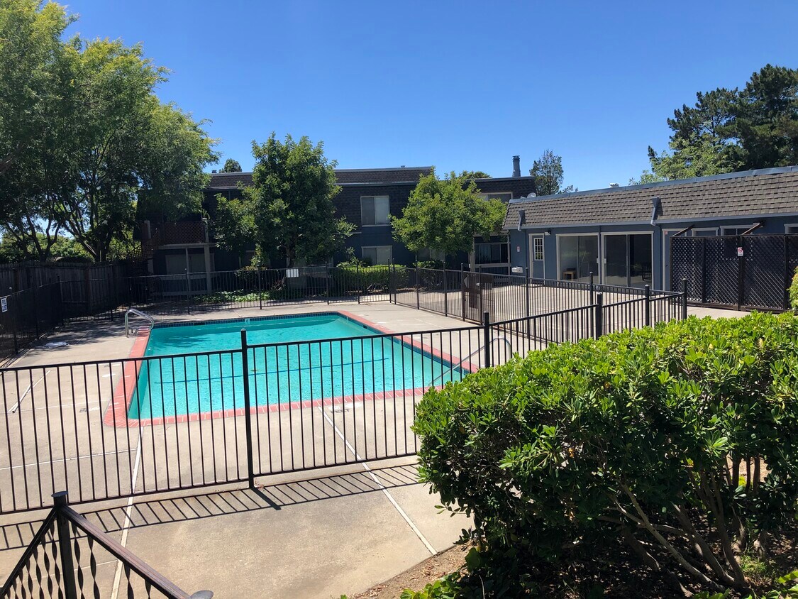 Primary Photo - 1459 N Camino Alto