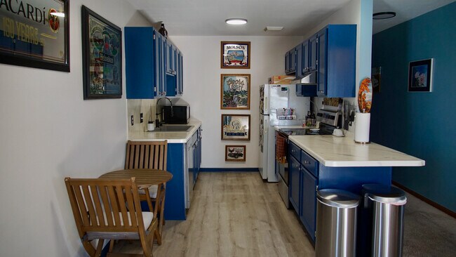 Cocina totalmente actualizada. - 384 Minz Park Cir