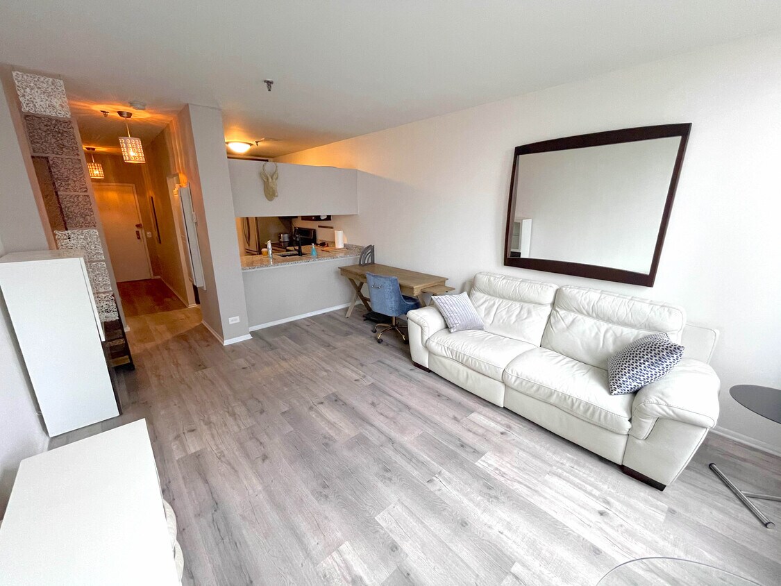 Partially furnished, Move in ready includes free internet - 780 S Federal St