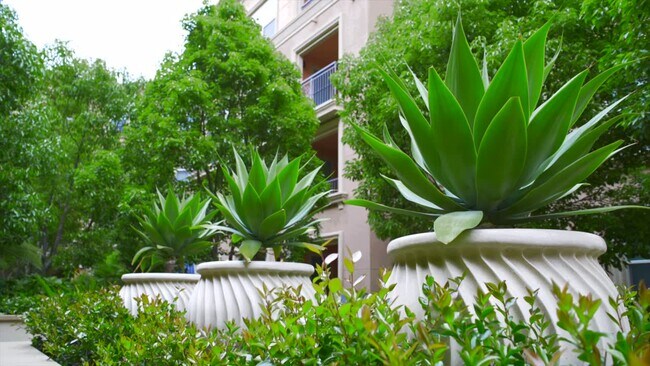 Monticello Apartment Homes Apartments Santa Clara, CA