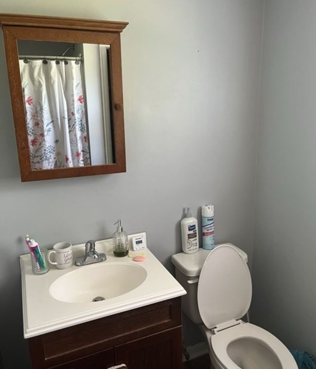 Bathroom - 216 Mill St