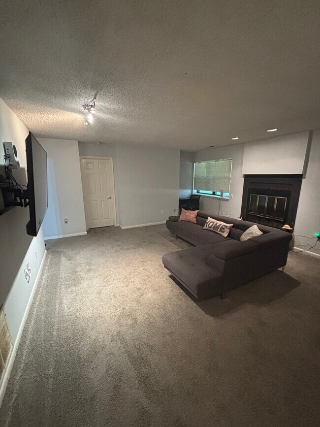 Sala de estar en el sótano - 596 Wild Flower Glade