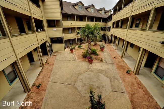 Building Photo - 1 br, 1 bath Apartment - 2507 Burleson Rd ...