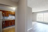 Located at 241 Lafayette Rd in Syracuse, NY, this one-bedroom, one-bathroom unit offers a practical and well-organized layout across a single floor. The living room is a bright, open space featuring light hardwood-style flooring, a ceiling fan, and a large window overlooking a tree-lined outdoor view, allowing ample natural light to fill the room. Baseboard heating is present throughout.

The kitchen is efficiently designed and separate from the living area, showcasing rich warm-toned wood cabinetry, granite-style countertops, a stainless steel refrigerator, a stainless steel microwave, and a range, all set above durable hardwood-style flooring. A sink with a modern faucet and ample upper and lower cabinet storage round out the functional space.

The bedroom offers a comfortable, carpeted retreat with a window providing natural light, a ceiling-mounted textured finish, and access to a dedicated closet with louvered doors. A hallway connects the main living areas to the bathroom, which features a wood vanity with granite-style countertop, a lighted mirror, tile wainscoting, and a full bathtub. Textured ceilings are present throughout the unit, adding a consistent design element to this well-appointed Syracuse residence.