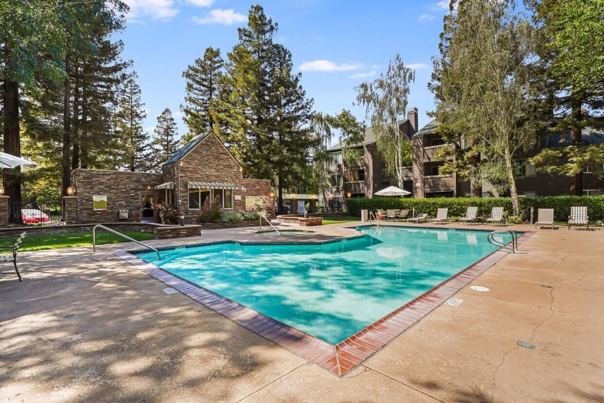 945 Catkin Ct Unit 945, San Jose, CA 95128 Condo for Rent in San Jose