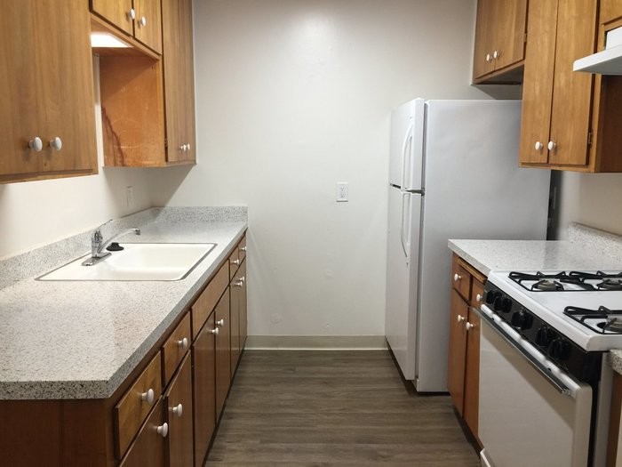 Primary Photo - Large one bedroom apartment available!