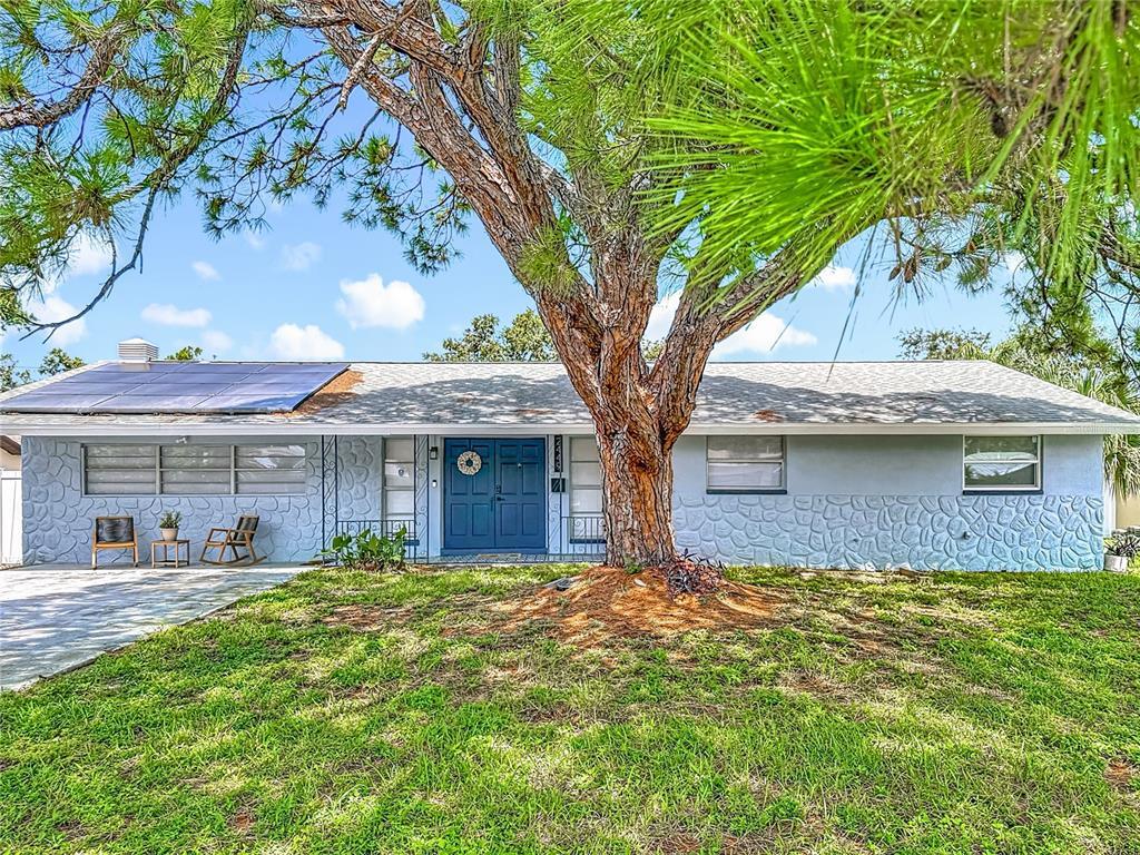 Foto principal - 2449 66th Ave S