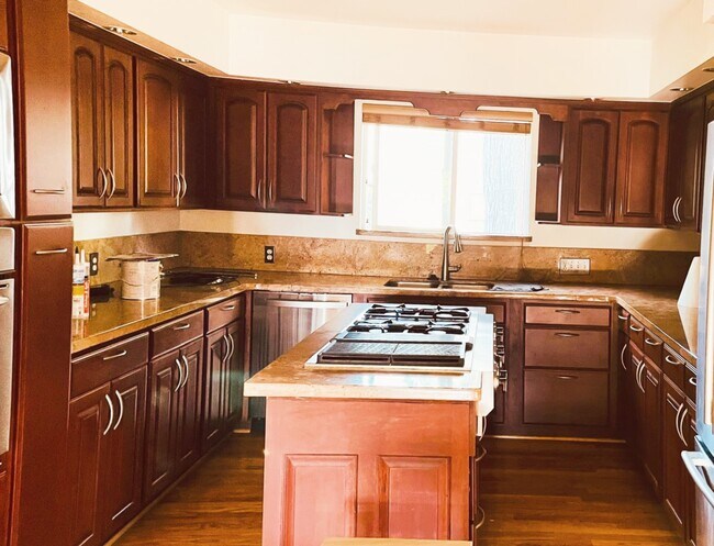 Upgraded Kitchen - 1144 S Cook St