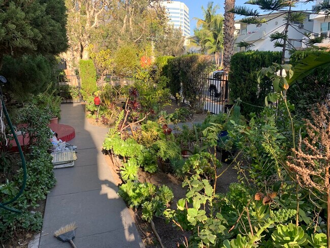 Front Yard (2) - 1333 Centinela Ave