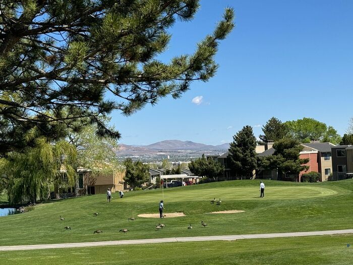 Primary Photo - 13th Fairway Views at Lakeridge Golf Cours...